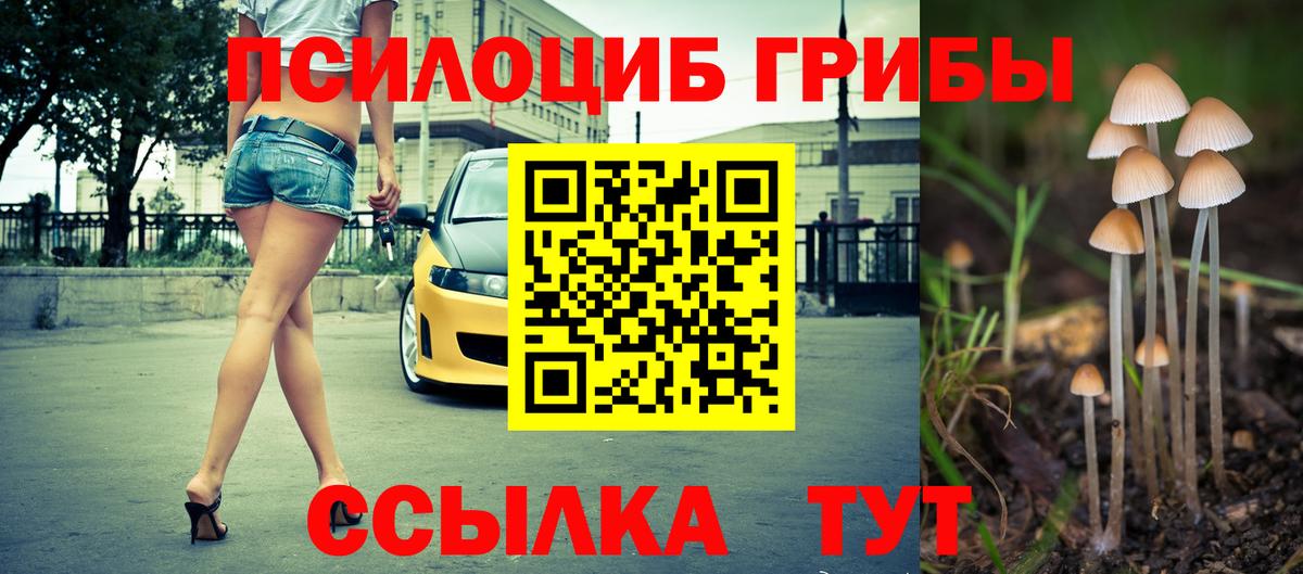 Галлюциногенные грибы прущие грибы Горно-Алтайск